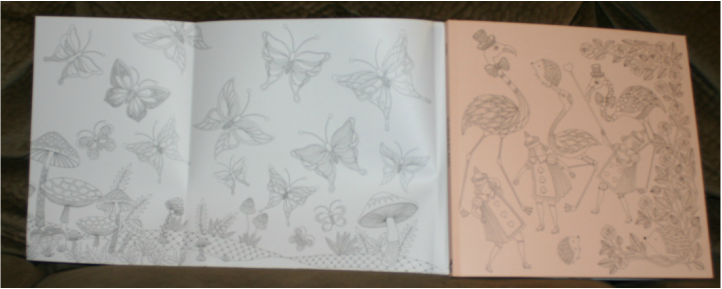 Wonderland: A Coloring Book Inspired by Alice's Adventures: Inside dust jacket (white) & book cover (pink)