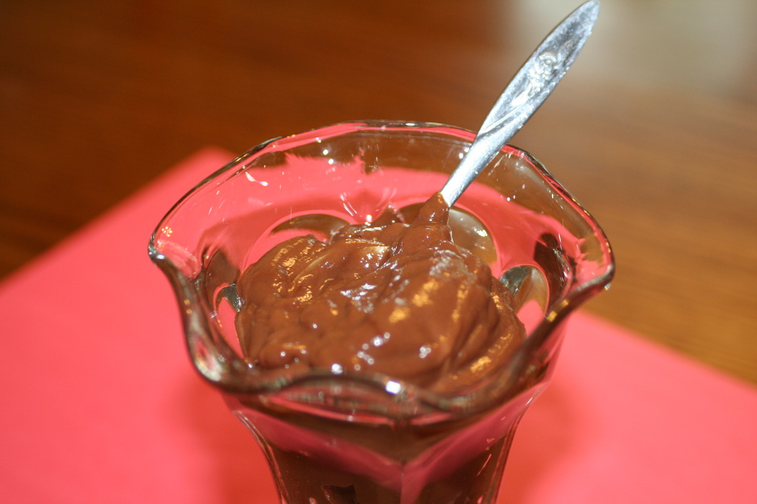 Rich Chocolate Pudding without Coconut, Avocado or Banana- Gluten, Dairy, Egg Free