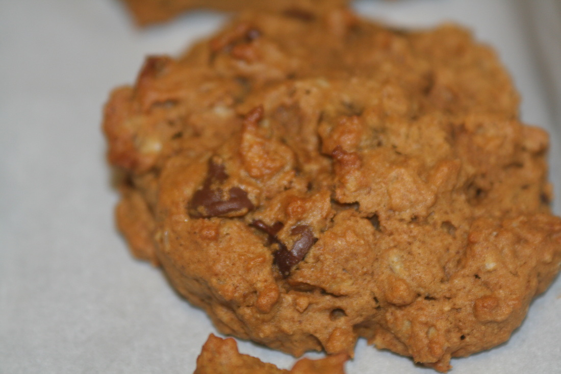 Old-Fashioned Oatmeal Cookies- Gluten, Dairy, Egg & Sugar Free Recipe with a Touch of Molasses