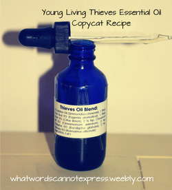 YL Theives EO Copycat Recipe- Effective and Cheaper with recommendations for where to get quality oils